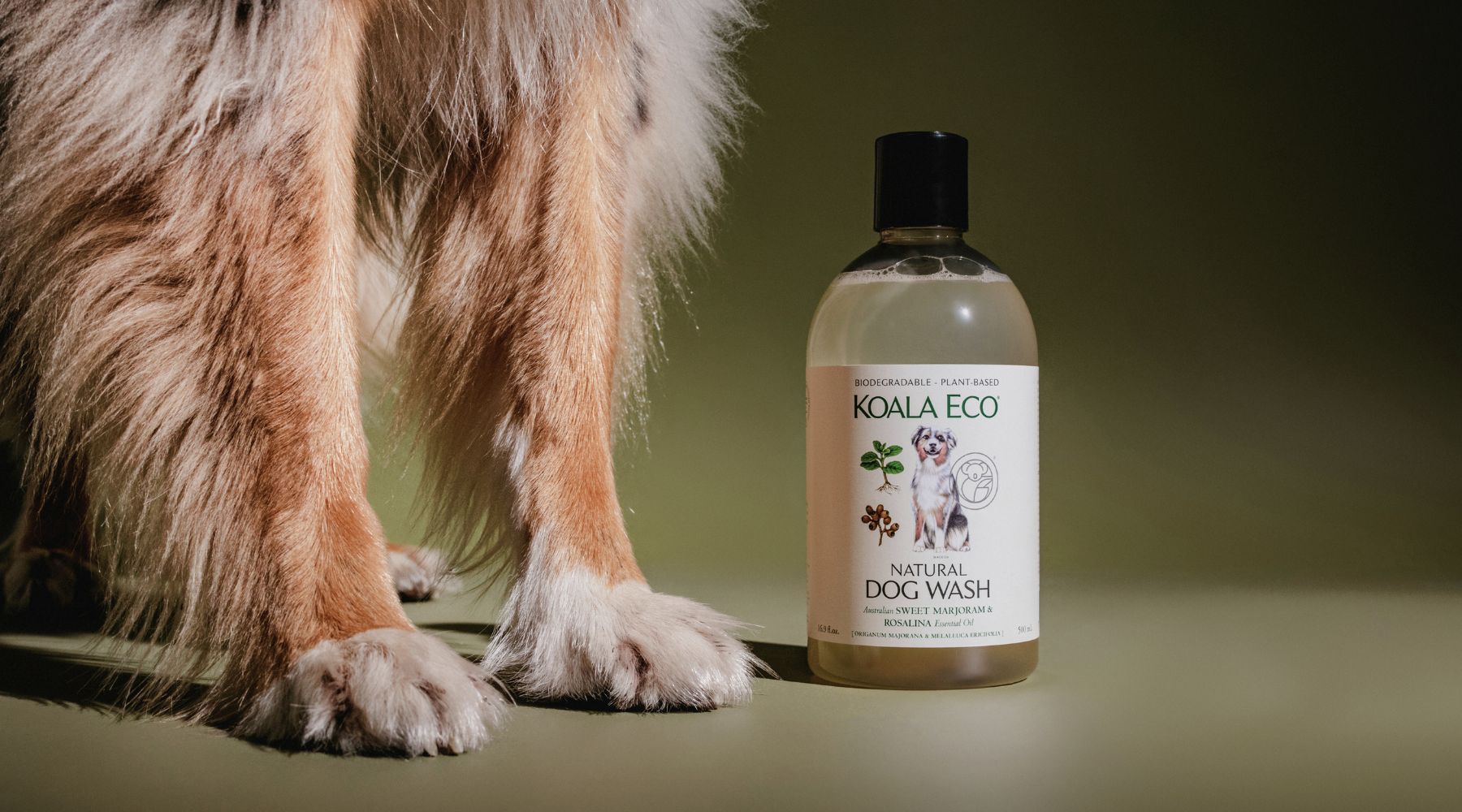 如何無壓力、無混亂,為你的狗寶貝洗澡! - 雪文洋行