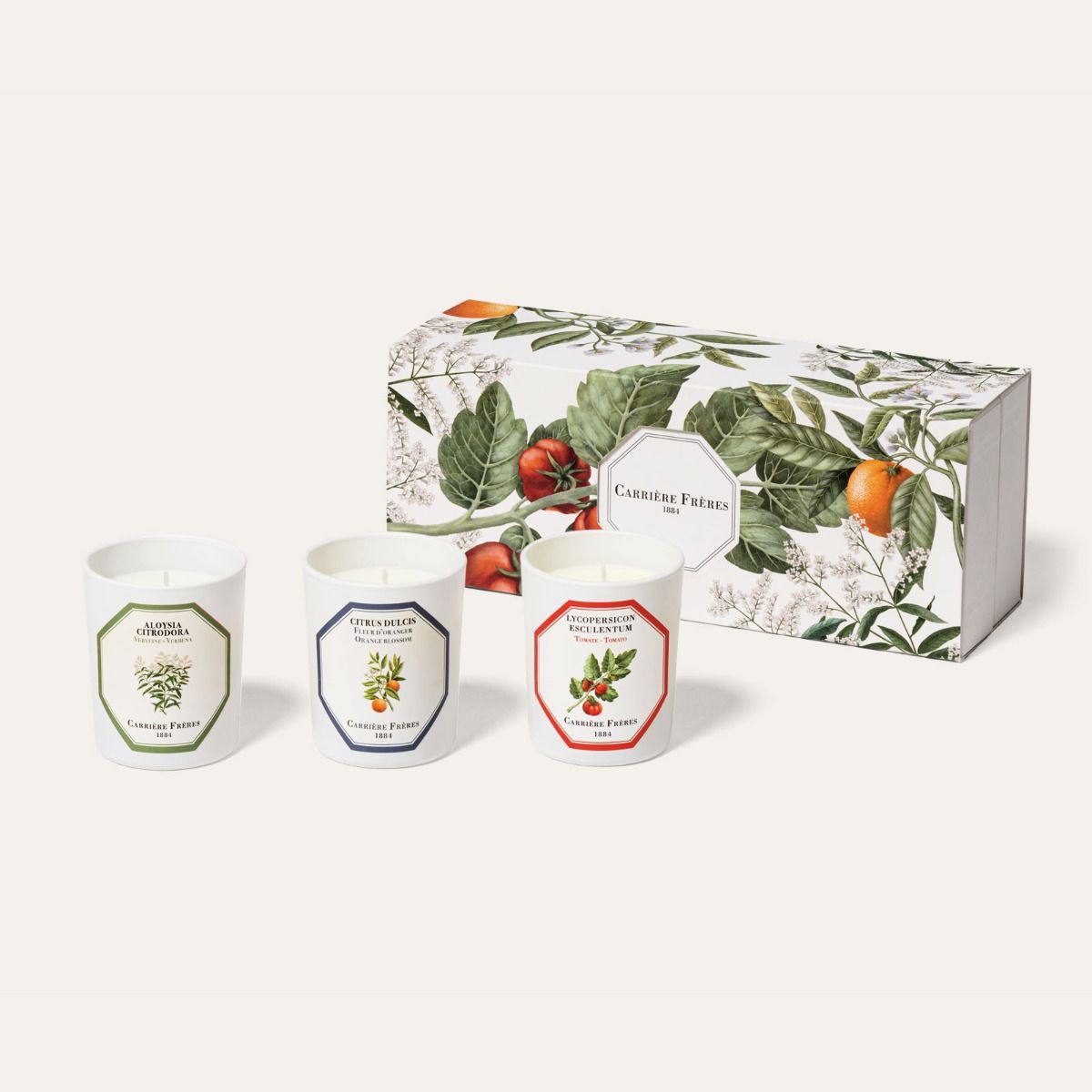 Carrière Frères 經典植物系列三入蠟燭禮盒 - 雪文洋行