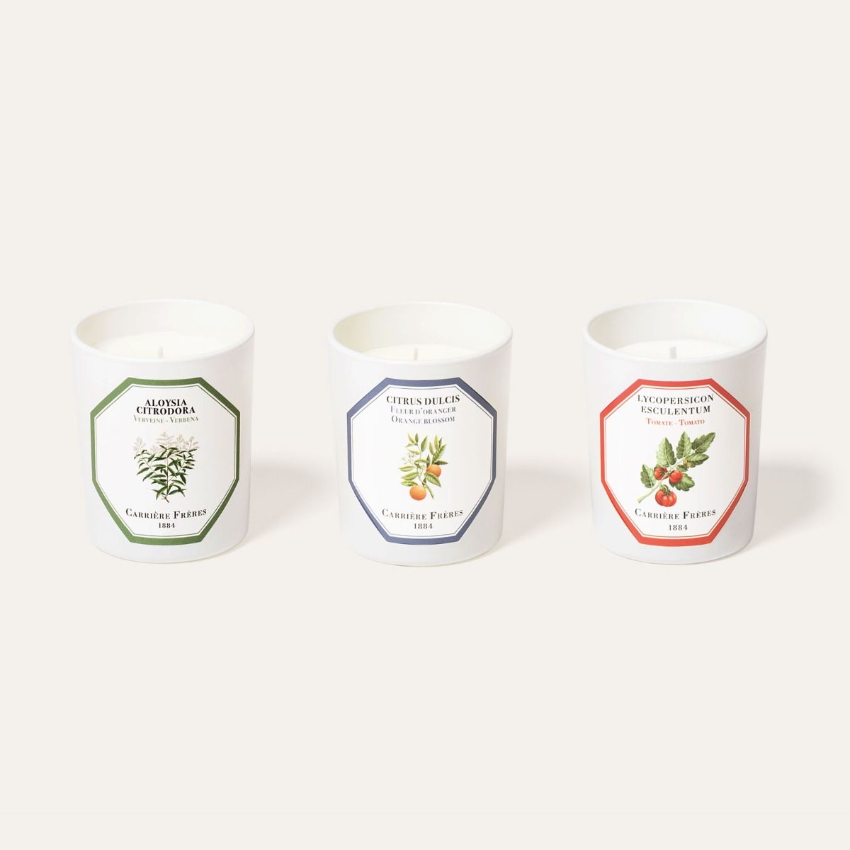Carrière Frères 經典植物系列三入蠟燭禮盒 - 雪文洋行