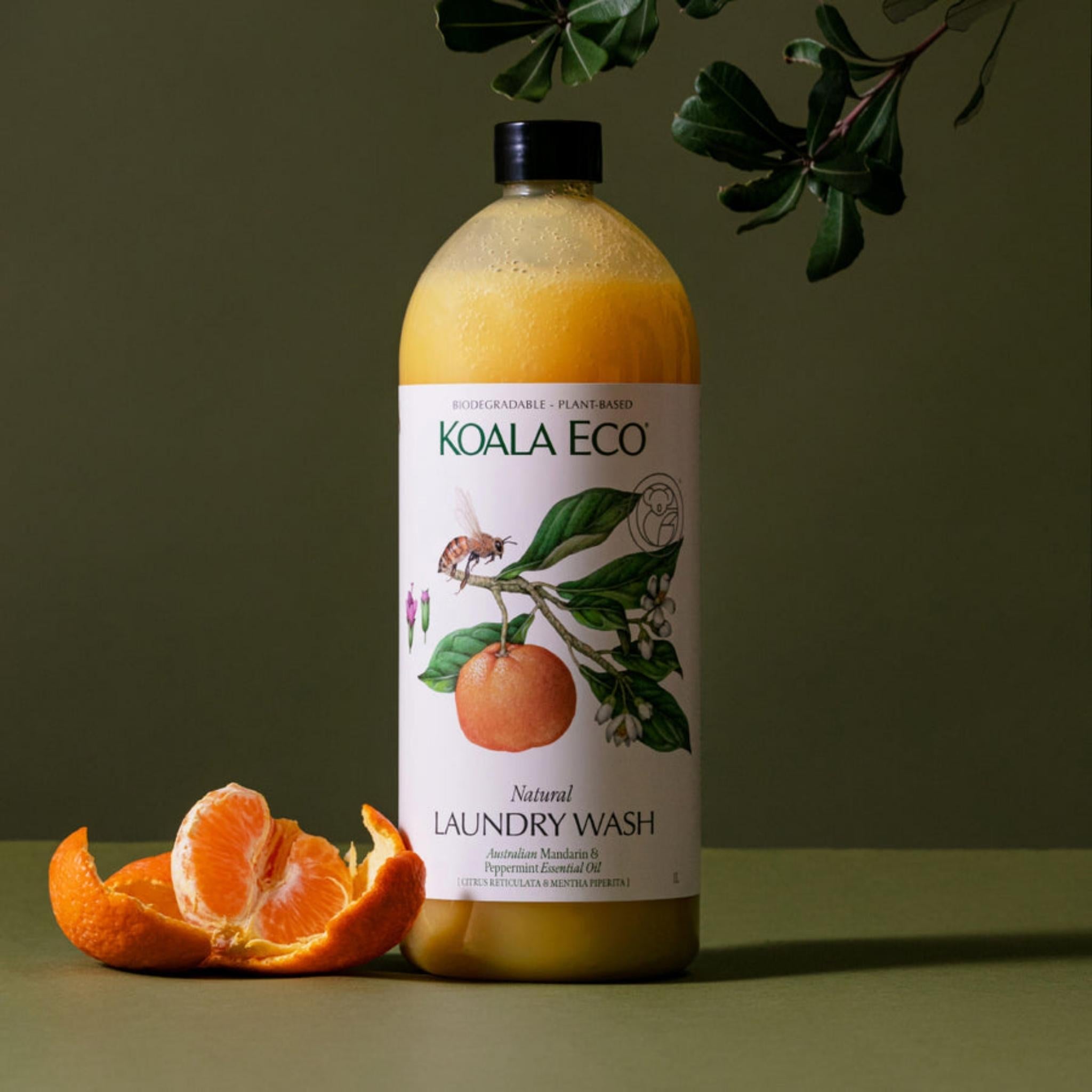 KOALA ECO澳洲科菈 夢幻洗衣精 橙&薄荷 - 雪文洋行