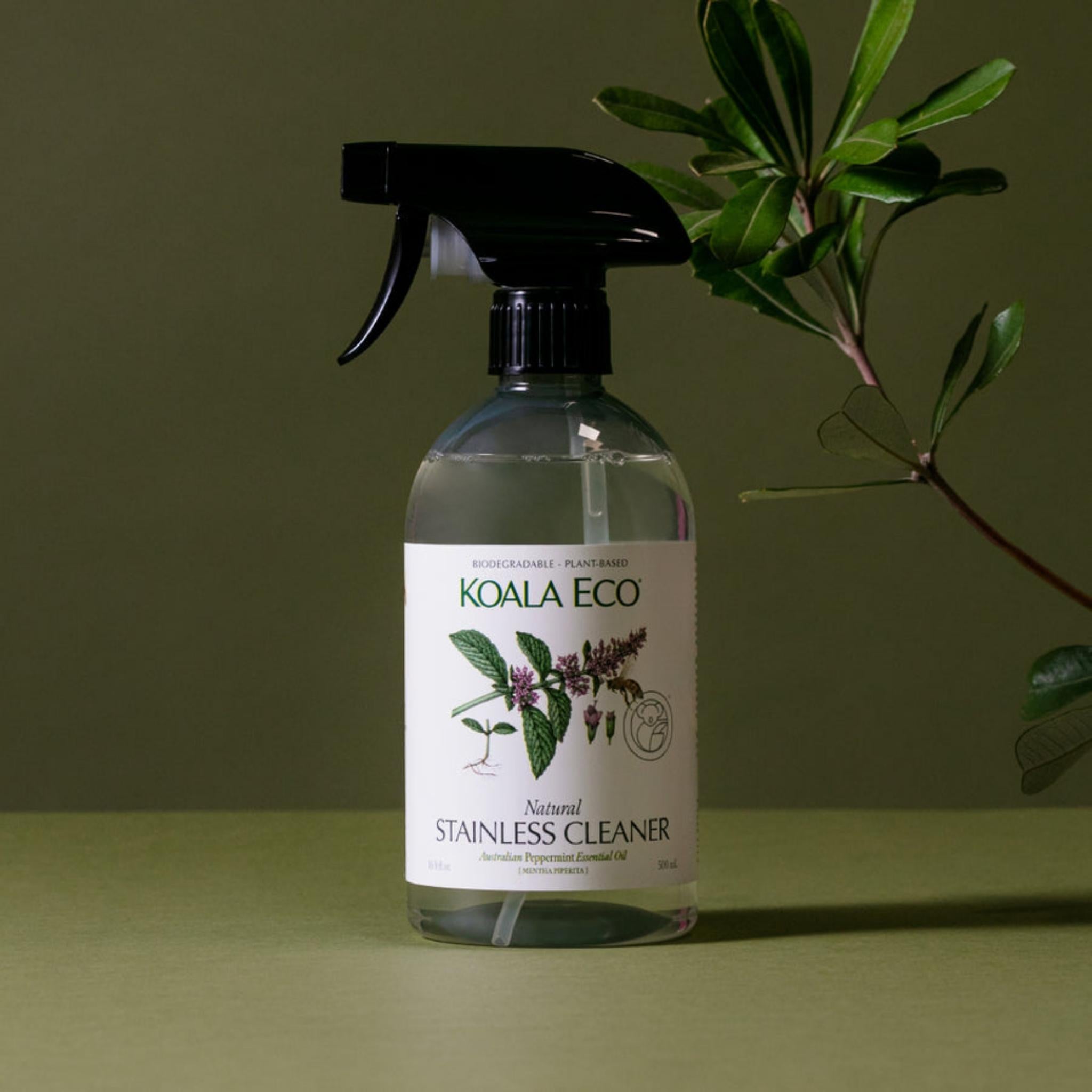 拾米豐瓶×KOALA ECO 銀光不銹鋼專用清潔劑 - 雪文洋行