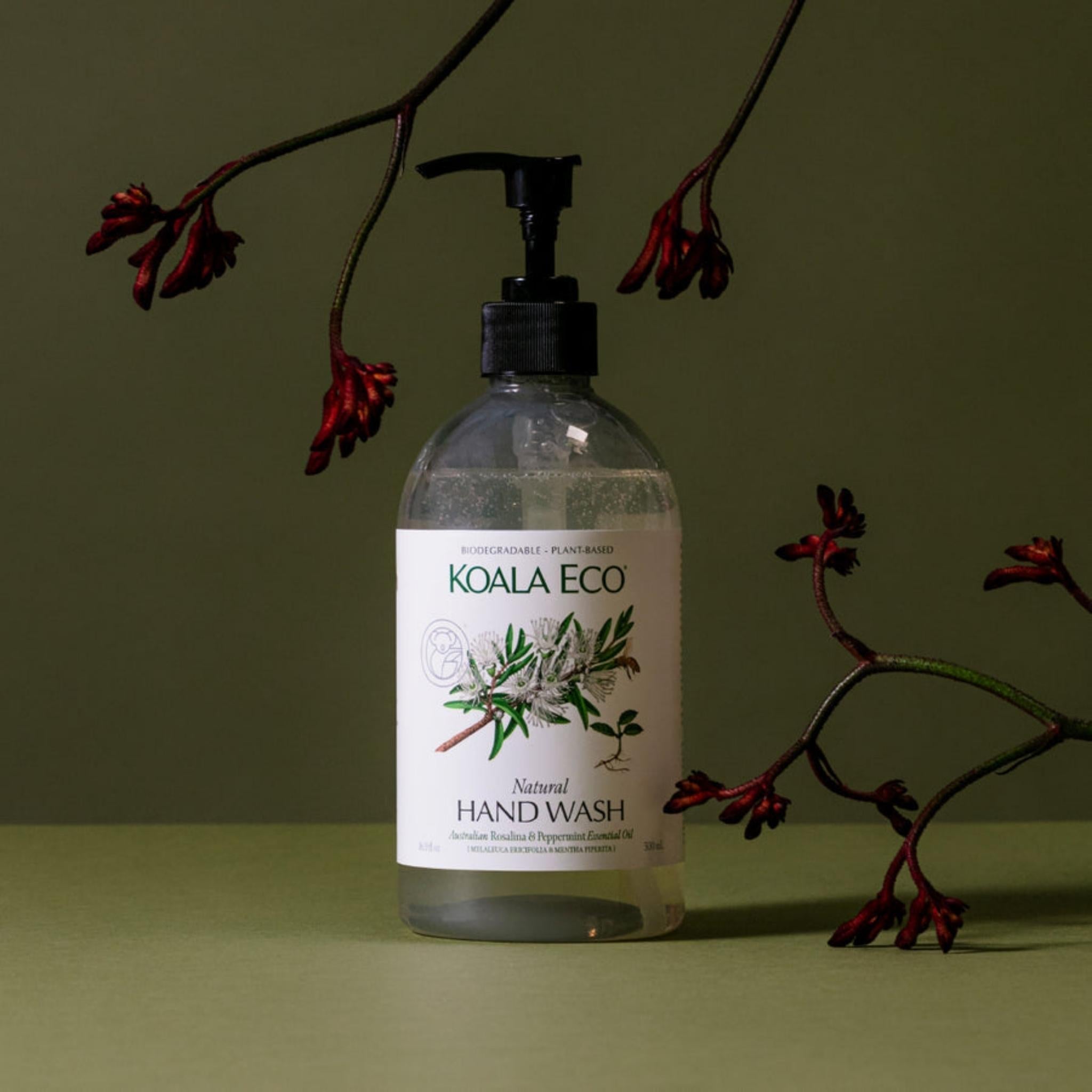 拾米豐瓶×KOALA ECO 護潤洗手露 檸檬尤加利&迷迭香 - 雪文洋行
