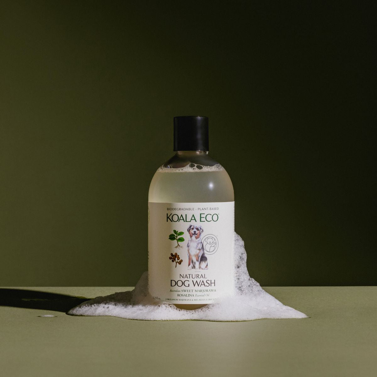 S×KOALA ECO澳洲科菈 寵物洗毛沐浴露 - 雪文洋行