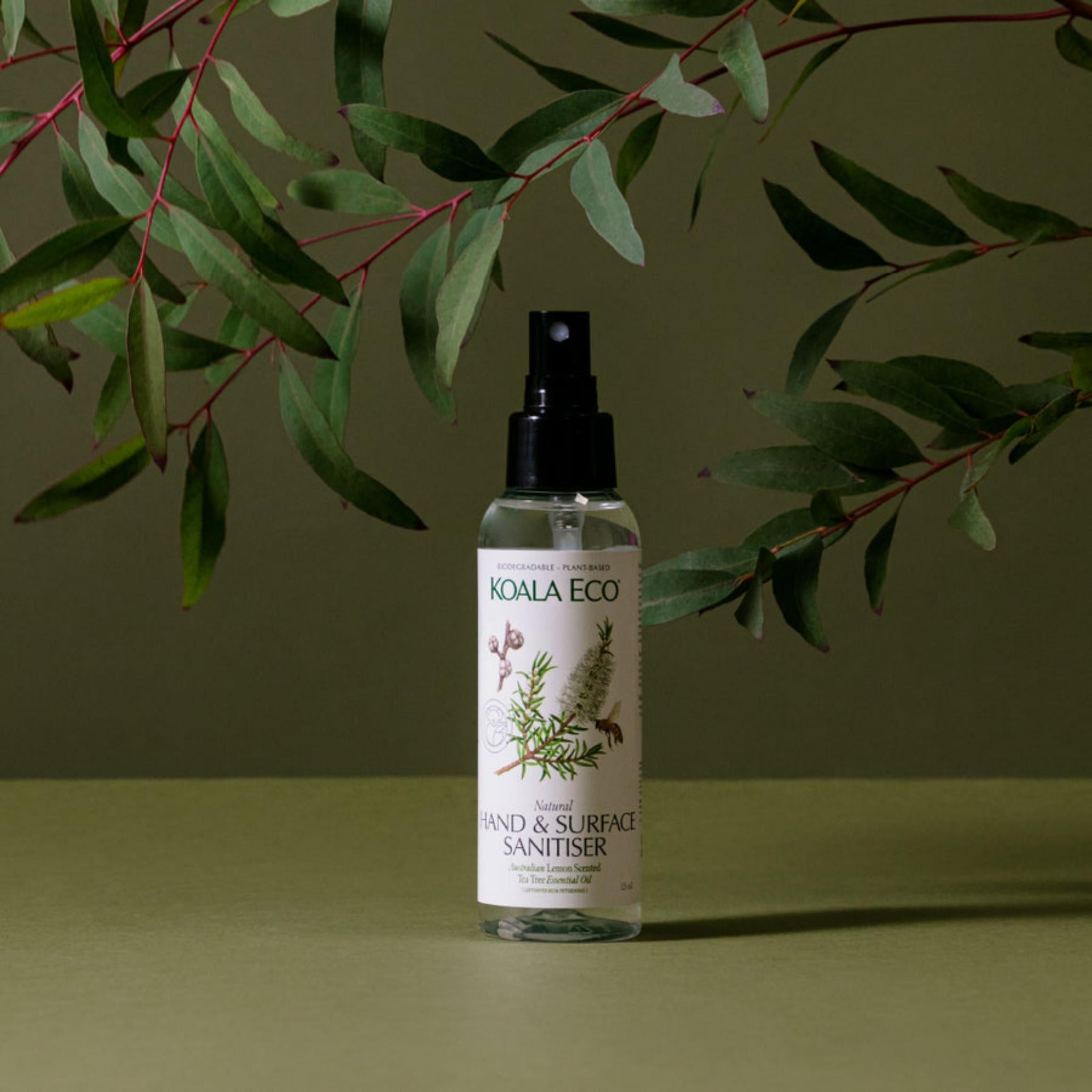 S×KOALA ECO澳洲科菈 香氛雙效乾洗手 茶樹&檸檬茶樹 - 雪文洋行