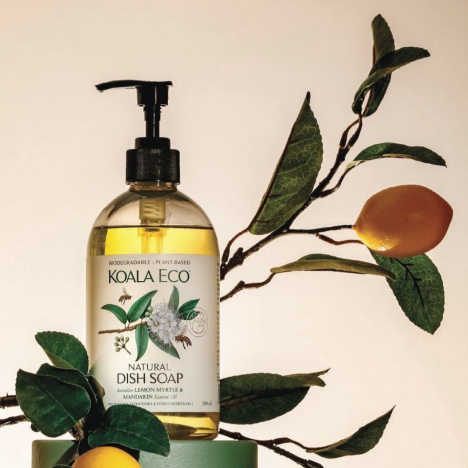 S×Koala Eco 安心飲食組 - 雪文洋行